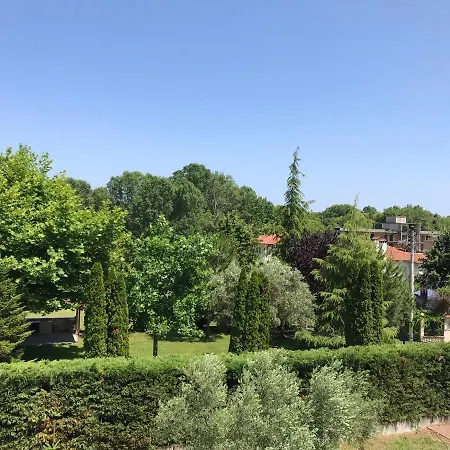 Dimeli 1