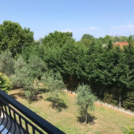 Dimeli 1 Apartment