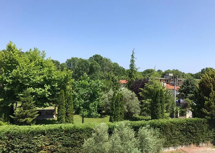 Dimeli 1